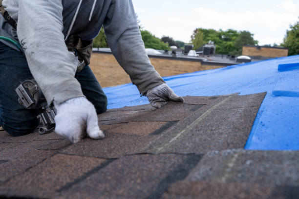 Best Flat Roofing  in Portola Valley, CA